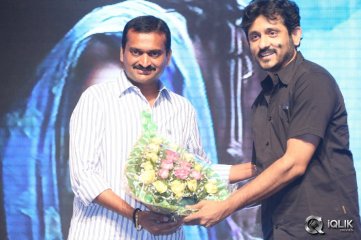 Nee Jathaga Nenundali Movie Audio Launch